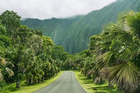 A scenic horizontal wide angle view of an empty asphalt road winding throug.. Stock Photos