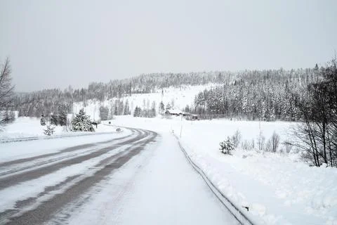 Scenic image of spruces tree. Cloudy blue sky, calm wintry scene. Ski resort. Stock Photos
