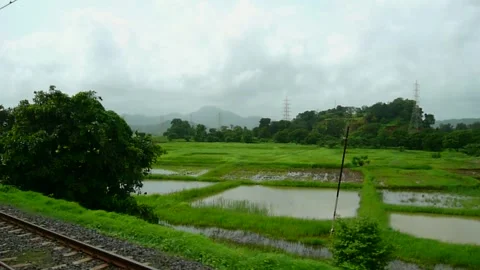 Scenic Indian Train Window view, Monsoon Greenery Rural Village Rice Field Sky Stock Footage 155117326