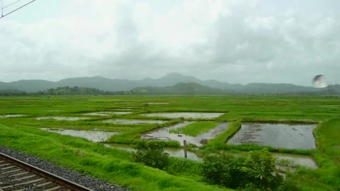 Scenic Indian Train Window view Monsoon Water Green Rural Village Rice Field Sky Stock Footage 155117357