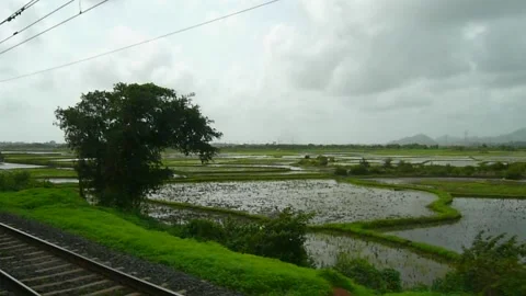 Scenic Indian Train Window view, Monsoon Greenery Rural Village Rice Field Sky Stock Footage 155117597