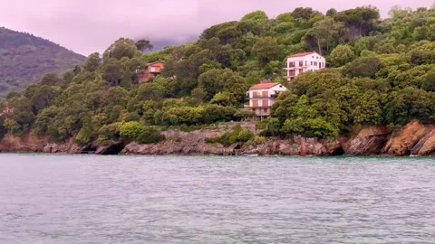 Scenic Island Chalets Surrounded by Forest and SeA, Luxury Vacation Homes Stock-Footage 309146757