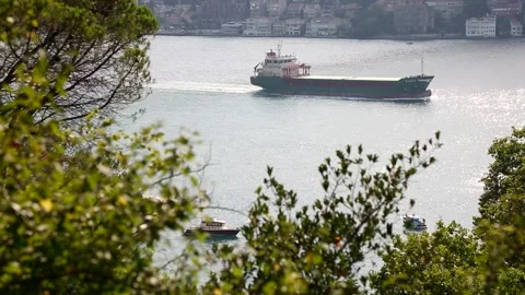 Scenic Istanbul Bosphorus View Through Green Trees Stock Footage 344073713