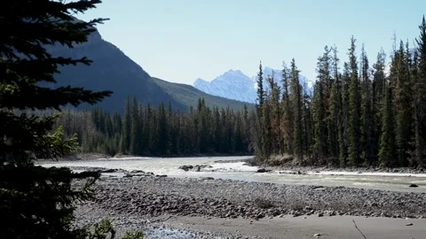 Scenic Jasper Canada River Flow Animation Stock Footage 307895350