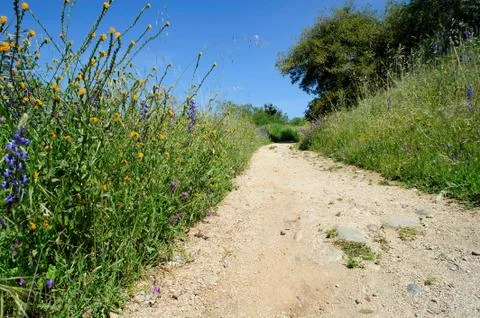 Scenic jogging path Stock Photos