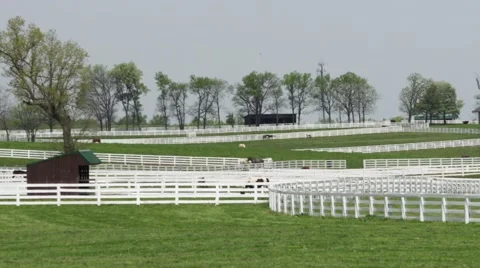 Scenic Kentucky horse farm Stock Footage
