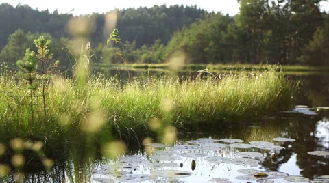 Scenic lake Video stock 34306062