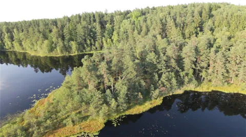 Scenic lake in the forest Stock Footage 34779672