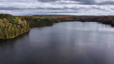 Scenic lake set within a multicolored autumn forest in Quebec Stock Footage 346916258