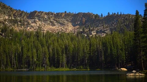 Scenic lake surrounded by pine trees. Stock Footage 88369662