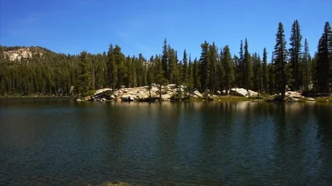 Scenic lake surrounded by pine trees. Video stock 88406650