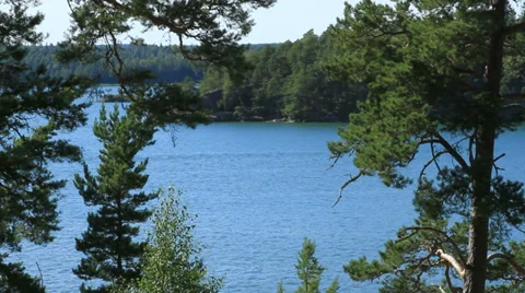 Scenic lake through trees Stock Footage 27726062
