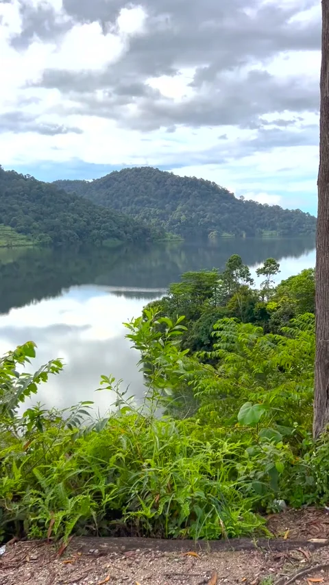 Scenic lake view Video stock 230580073
