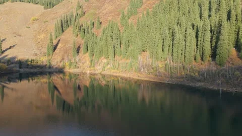Scenic lake view with forest reflections, camera pans across tranquil landscape Video stock 319435899