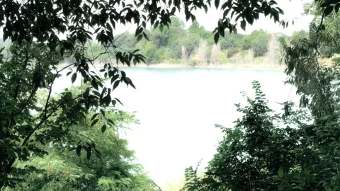 Scenic Lake View Framed Through Lush Jungle Trees Stock Footage 337548050