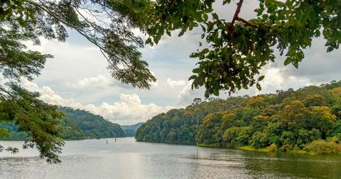 Scenic Lake View Framed by Tree Branches in Kerala Stock Photos