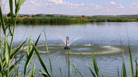 Scenic Lake Water Reflection at Delta Moldovei Iasi Romania under Blue Sky Vídeo Stock 341848920