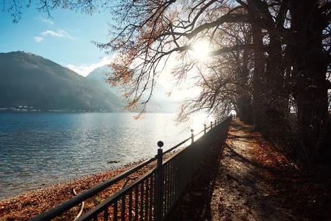 Scenic lakeside pathway lined with trees and a railing, illuminated by sunl.. Stock Photos