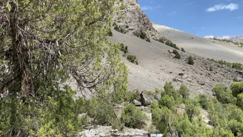 Scenic landscape with a fast mountain river flowing between rocky stones. Stock Footage 221184532