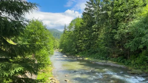 Scenic landscape with a fast mountain river flowing between rocky stones in Stock Footage 252006085