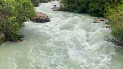 Scenic landscape with a fast mountain river flowing between rocky stones. Upward Stock Footage 286061689