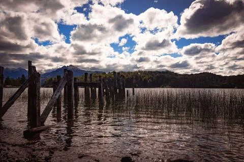 Scenic landscape featuring an array of wooden poles standing in a lake Foto stock