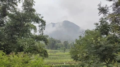 The Scenic Landscape at The Foot of Mount Merapi Stock Footage 318633365