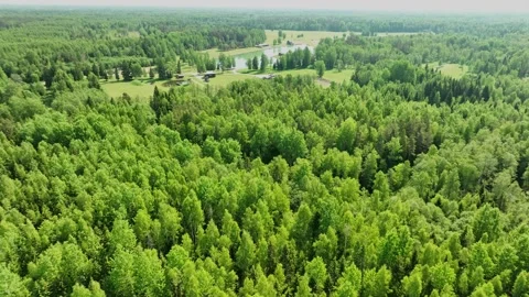 Scenic landscape Stock Footage 277455784