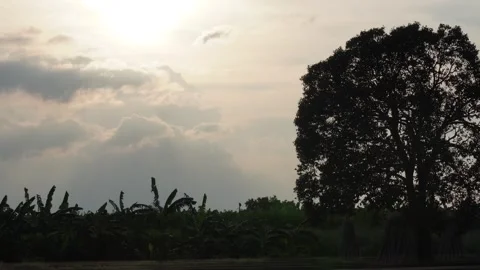 Scenic Landscape Stock Footage 344817966