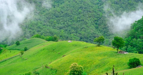 Scenic landscape with green corn fields and clouds moving on the hills Stock Footage 252006822