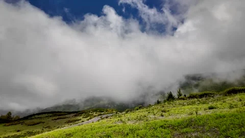 Scenic landscape of low level clouds at highlands of central Madeira Island.. 動画素材 274853463