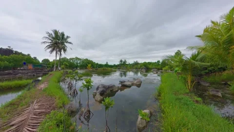 Scenic Landscape of Reflection Lake and Limestone Rock Formations Vidéo 336178798