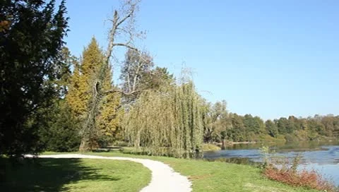 Scenic landscape, sandy path and tree near serene water Stock Footage 8912851