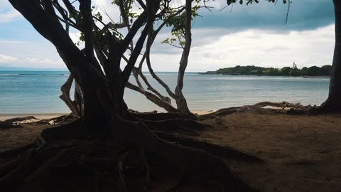 Scenic landscape with silhouette of trees in the foreground and beach Stock Footage 87048309