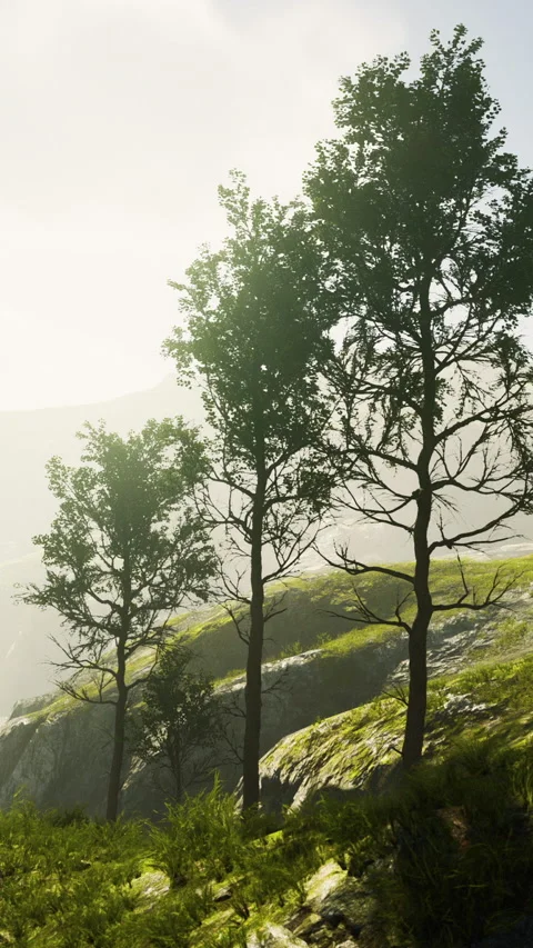 Scenic landscape with steep cliffs and trees during a sunny day Vidéo 279413711