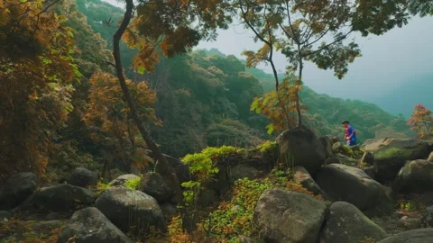 Scenic Landscape of Tropical Valley with Tiny Traditional Dancers 動画素材 278573102