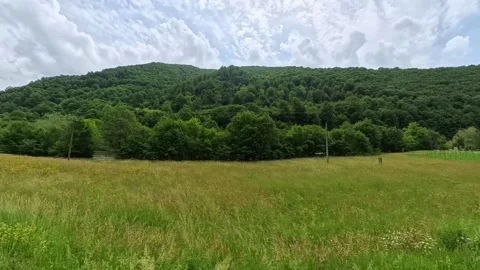 Scenic landscape view from a moving car or train window showing a calm river Vídeo Stock 346181084