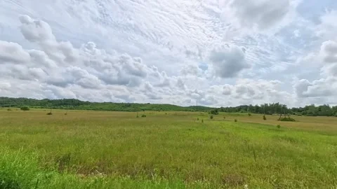 Scenic landscape view from a moving car or train window showing a calm river Vídeo Stock 346181183