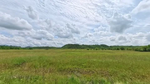 Scenic landscape view from a moving car or train window showing a calm river Vídeo Stock 346181252