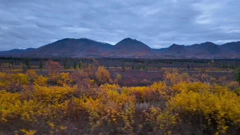 Scenic landscape of wilderness during cloudy autumn day next to Denali Stat.. Stock Footage 314746761