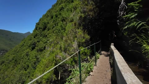 Scenic Levada 25 Fontes Trail Along Lush Madeira Mountainside on a Clear Day Video stock 346252662