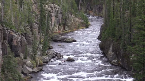 Scenic Lewis River Flowing through a Canyon in Yellowstone N.P. Vídeos de archivo 55688959