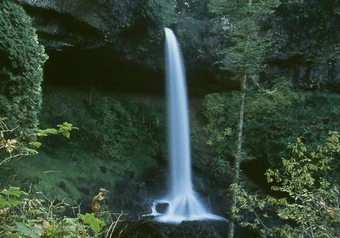 Scenic long exposure view of forest waterfall cascading into rocky pool 库存照片