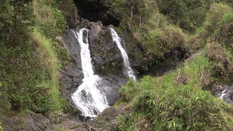 Scenic Maui Waterfall 스톡 동영상 89665677