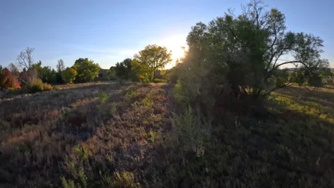 Scenic Meadow Fly Over Stock-Footage 219295737