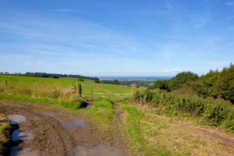 Scenic meadow with gate Stock Photos