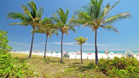 Scenic Miami Beach Stock Footage 75883811