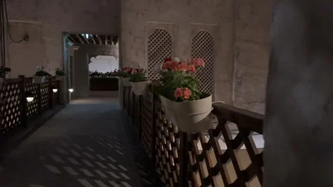 Scenic Motion Between Two Geranium Flower Pots on a Beautiful Balcony Stock Footage 303806425