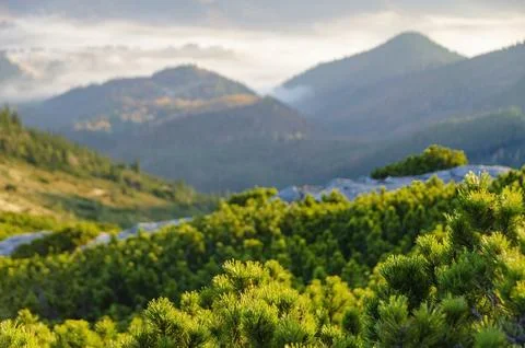 Scenic mountain background. Фото