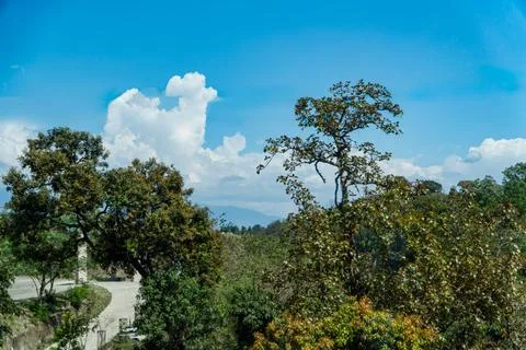 Scenic Mountain Forest Landscape with Dramatic Cloud Formation and Blue Sky Stock Photos